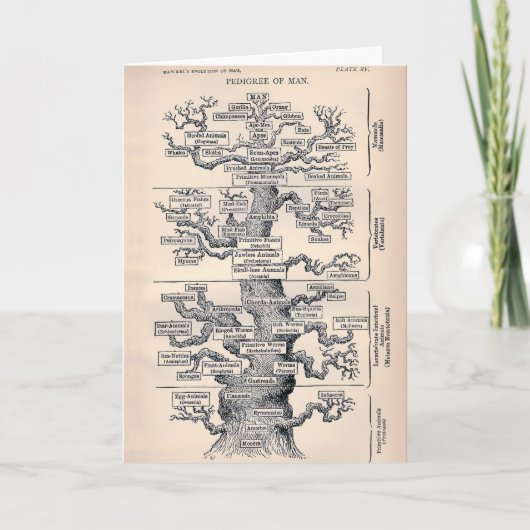 人の名門 カード (正面)