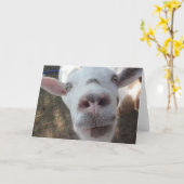 人の挨拶状を凝視したヤギ カード (黄色い花)
