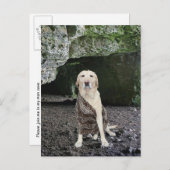 人の洞窟の招待状 インビテーションポストカード (正面/裏面)