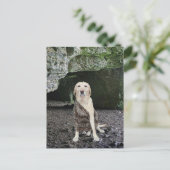 人の洞窟の招待状 インビテーションポストカード (スタンド正面)