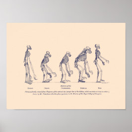 人の立場に関する自然 ポスター