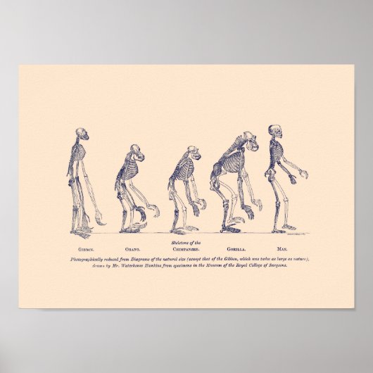 人の立場に関する自然 ポスター (正面)