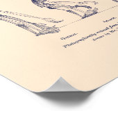 人の立場に関する自然 ポスター (角)