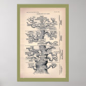 人の系図 ポスター (正面)