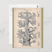 人の系図 ポストカード (正面/裏面)