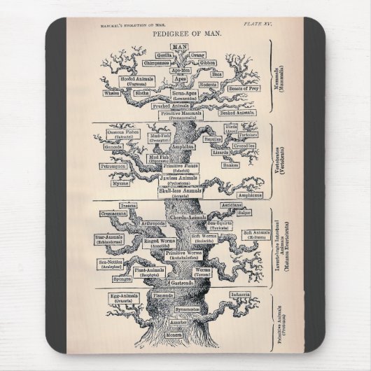 人の系図 マウスパッド (正面)