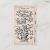 人の系図 名刺 (裏面)