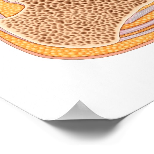 人の足 ポスター (角)