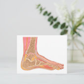 人の足 ポストカード (スタンド正面)