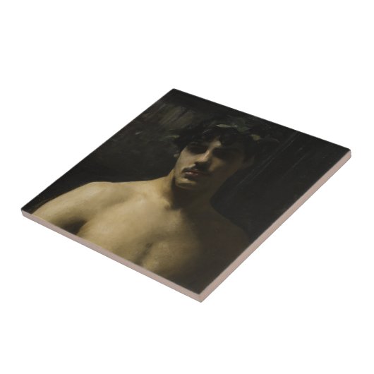 人の身に着けている月桂樹 タイル (側面)