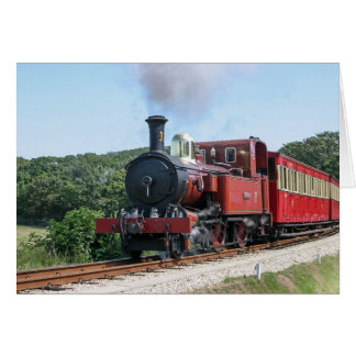 人のCastletownの島の蒸気の列車