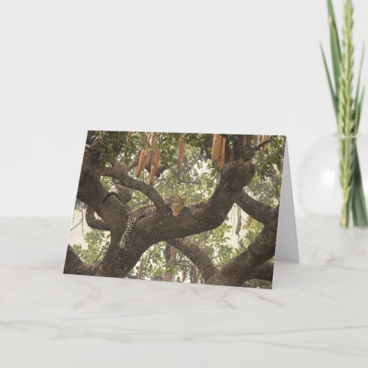 人のCombesの野性生物の芸術の挨拶状 カード (正面)