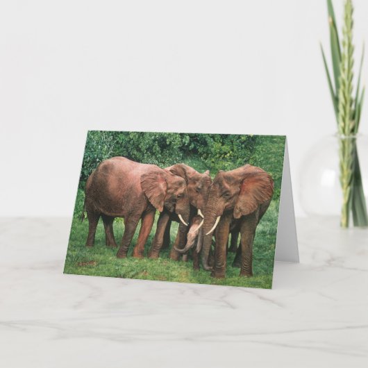 人のCombesの野性生物の芸術の挨拶状 カード (正面)