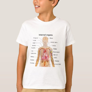 人体の図表の専攻のな内臓 Tシャツ