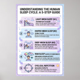 人体の睡眠サイクル:5つのステップガイド インフォグラフィック ポスター