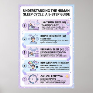 人体の睡眠サイクル:5つのステップガイド インフォグラフィック ポスター
