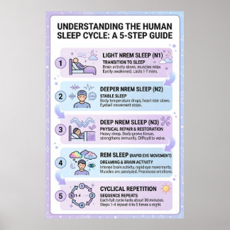 人体の睡眠サイクル:5つのステップガイド インフォグラフィック ポスター
