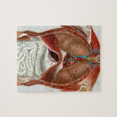 人体の解剖学 ジグソーパズル (横)