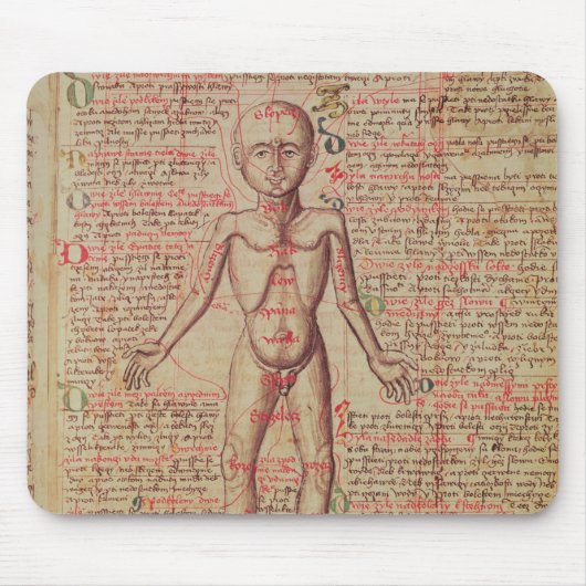 人体の解剖学 マウスパッド (正面)