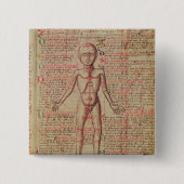 人体の解剖学 缶バッジ (正面)