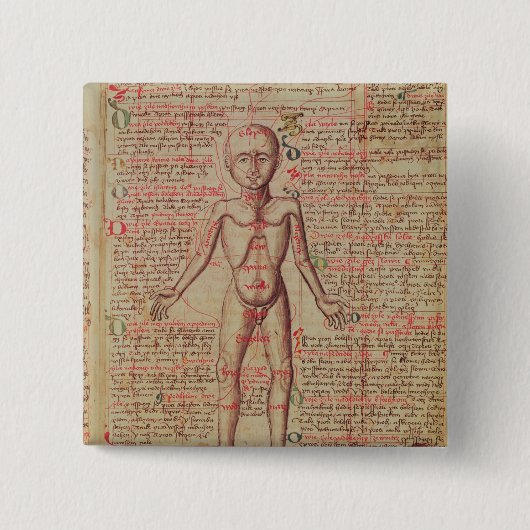 人体の解剖学 缶バッジ (正面)