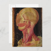 人体の頭部の解剖学的スケッチ ポストカード (正面/裏面)