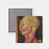 人体の頭部の解剖学的スケッチ マグネット (正面/裏面)