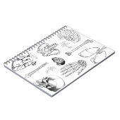 人体解剖学 ヴィンテージ 医療イラストセット ノートブック (左側)