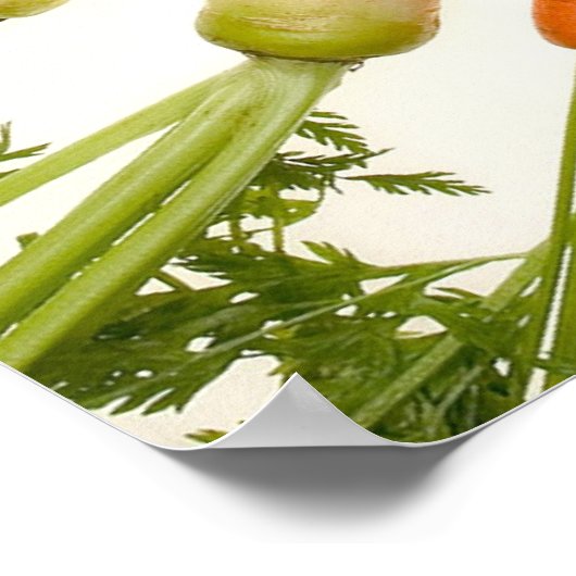 人参カラフル ポスター (角)