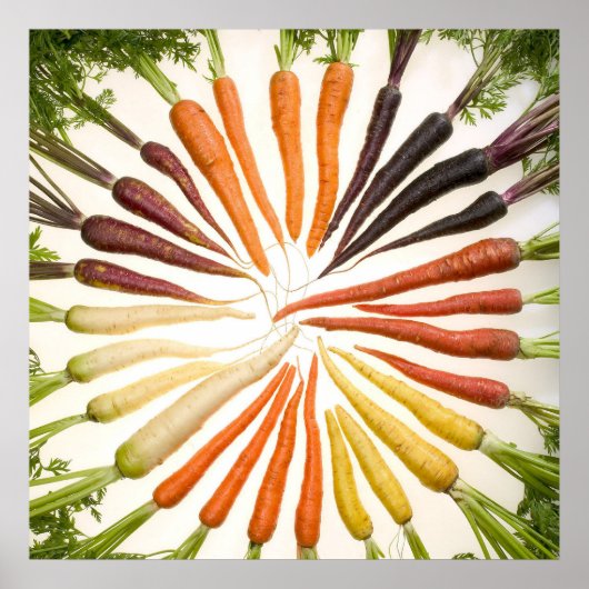 人参カラフル ポスター (正面)