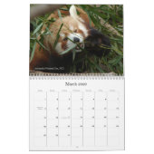 人口稠密な都市-カレンダーの獣 カレンダー (3月 2026)