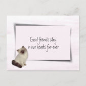 人形ねこ ペット シンパシー ポストカード (正面)