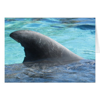 人形のひれ- TBDシリーズ