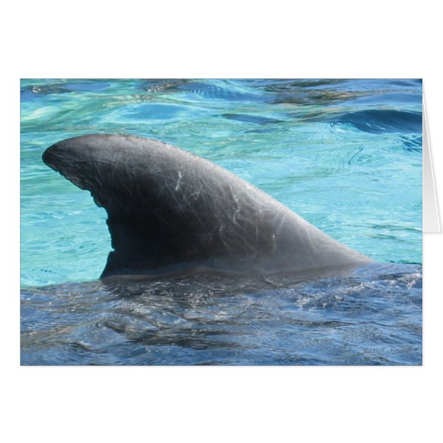 人形のひれ- TBDシリーズ (正面横)