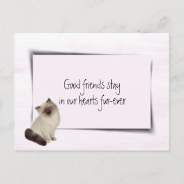 人形のような猫のペット供養 ポストカード