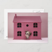 人形の家から覗き込む子犬 ポストカード (正面/裏面)