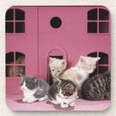 人形の家の子ネコ コースター (正面)