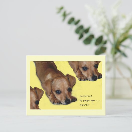 人形知の俳句絵はがき集め ポストカード (スタンド正面)