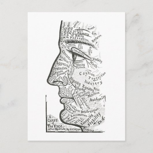 人格評価の顔表 ポストカード (正面)