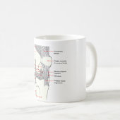 人権の膝関節の解剖図表 コーヒーマグカップ (正面右)