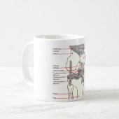 人権の膝関節の解剖図表 コーヒーマグカップ (正面左)