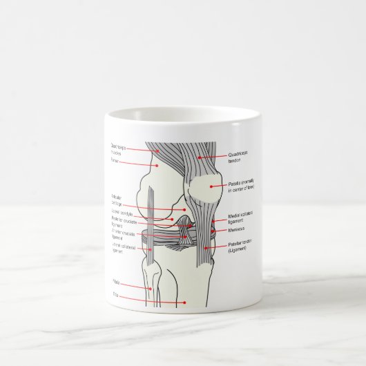 人権の膝関節の解剖図表 コーヒーマグカップ (中央)
