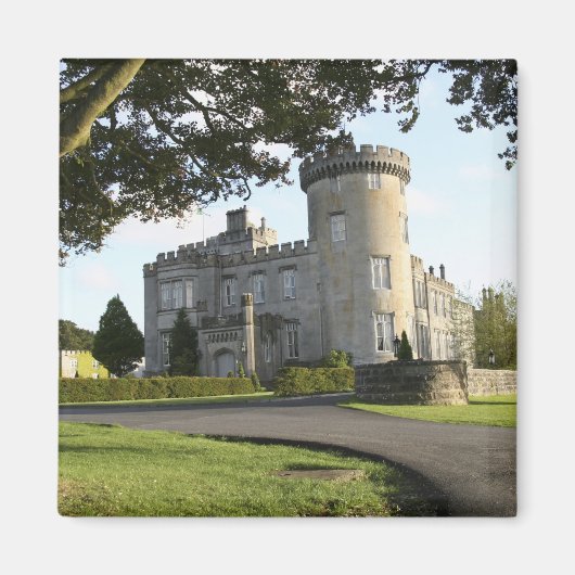 人無しドロモランド城側の入り口 マグネット (正面)