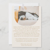 人独身の生クリームモダンアーチ写真クリスマス シーズンカード (裏面)