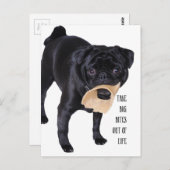 人生から大きな傷を取り除く ポストカード (正面/裏面)