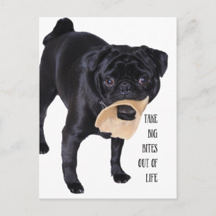 人生から大きな傷を取り除く ポストカード