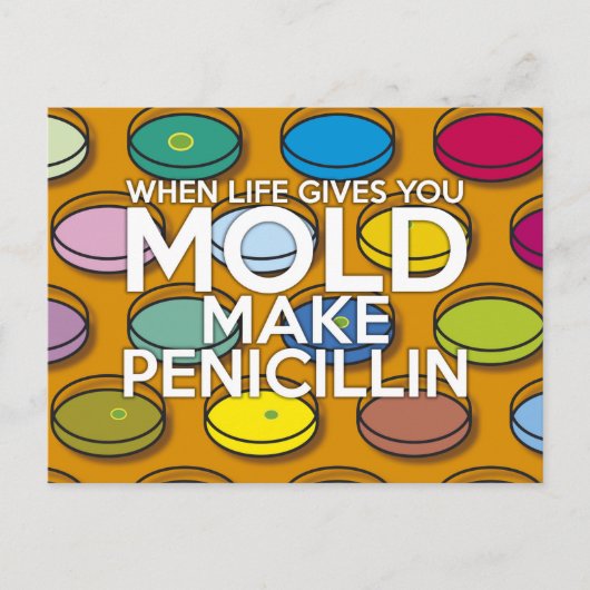 人生がカビをくれたら ポストカード (正面)
