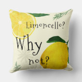 人生がレモ与えンズになったら、レモネードを作れ クッション (裏面)