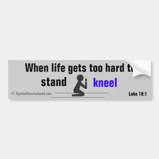 人生が懸命 バンパーステッカー (正面)