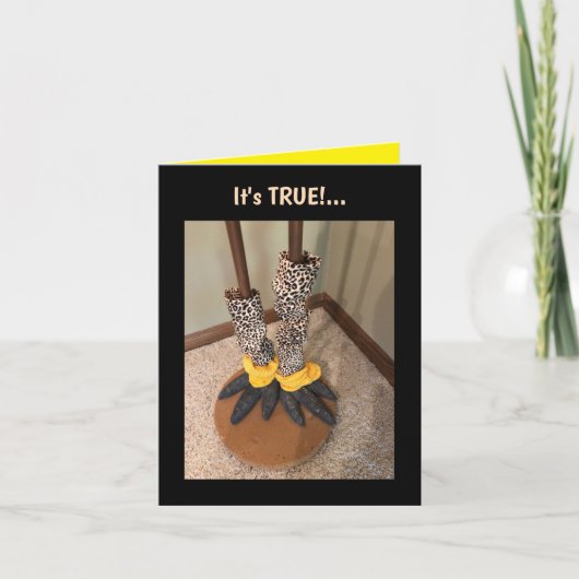 人生が短すぎる…折り畳まれたグリーティングカード カード (正面)